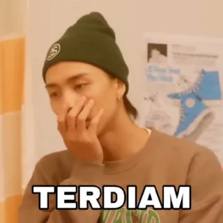 ☺️ TERDIAM homme, bonnet, expression, silencieux telegram sticker