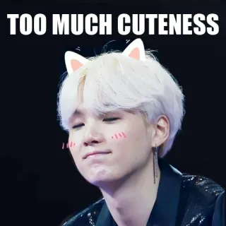 😻 TOO MUCH CUTENESS słodziutkie, mem, śmieszne, słodkie, kawaii telegram sticker
