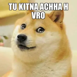 ❤️ TU KITNA ACHHA H VRO Doge, 表情包, 狗, 可爱, 网络迷因 telegram sticker