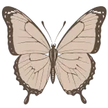 🦋