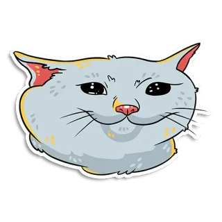 😢 cat, meme, smug, cute, animal, internet whatsapp sticker