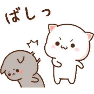 🙂 はしっ Katze, wütend, verärgert, Cartoon, Tier, süß telegram sticker