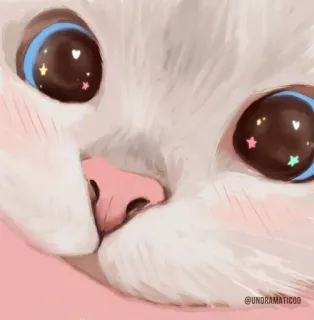 🐱 @undramatico0 chat, mignon, animal, kawaii, animal de compagnie telegram sticker