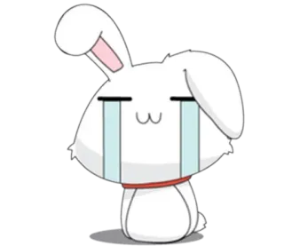✨ 兔子, 哭泣, 伤心, 兔子, 动漫, 卡通 telegram sticker