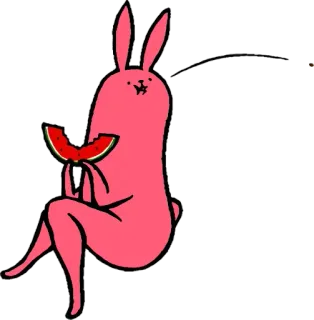 😙 Hase, Häschen, essen, Wassermelone, süß, Tier, rosa, Cartoon whatsapp sticker