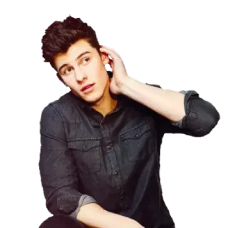 😧 Shawn Mendes singer, musician, celebrity, portrait, male whatsapp sticker
