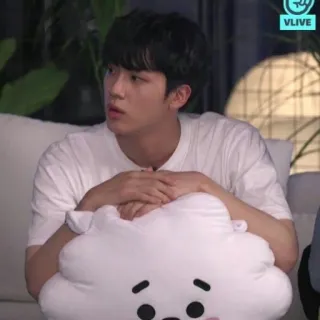 🐹 Jin kpop, bts, ca sĩ, hàn quốc, dễ thương, gối, rj telegram sticker