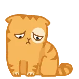 😞