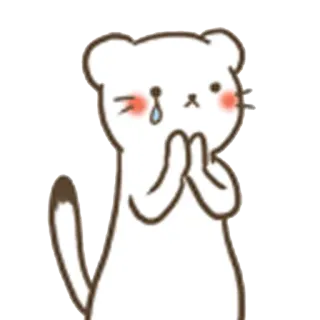 😢 猫, 乞求, 哭泣, 可爱, 动物, 贴纸, 卡通 telegram sticker