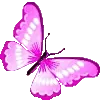 🦋