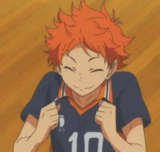 🧡 Hinata Shoyo Haikyuu!! Hinata Shoyo, Anime, Manga, Haikyuu!!, Volleyball, Anime Sportif, Souriant, Personnage telegram sticker