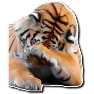 Derptacular Felines telegram stickers