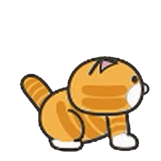 🐈