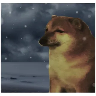 🌨 cane, Cheems, triste, inverno, solo telegram sticker