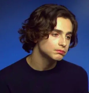 🦇 Timothée Chalamet actor, retrato, celebridad, hombre telegram sticker