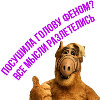 🤷‍♀️ ALF ПОСУШИЛА ГОЛОВУ ФЕНОМ? ВСЕ МЫСЛИ РАЗЛЕТЕЛИСЬ ALF, Desenho animado, Alien, Engraçado, Retro, Sitcom, Humor telegram sticker