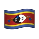 🇸🇿