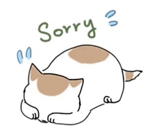 🙄 gatto, dormire, animale domestico, animale, carino, pigro telegram sticker