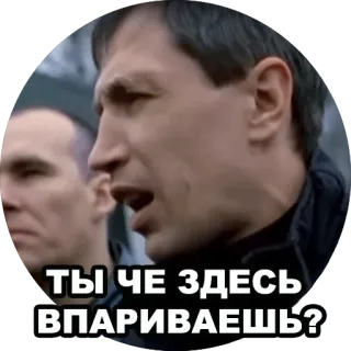 🤬 ТЫ ЧЕ ЗДЕСЬ ВПАРИВАЕШЬ? rusia, frasa, pertanyaan, ekspresi whatsapp sticker