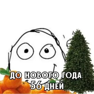 🎄 ДО НОВОГО ГОДА 56 ДНЕЙ nouvel an, noël, mandarines, mème, texte whatsapp sticker