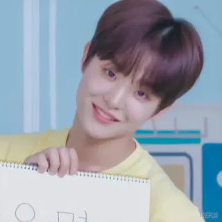 🐼 예러레 coreano, escritura, entretenimiento whatsapp sticker