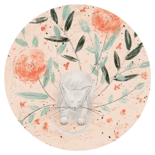🏞 cat, flowers, floral, animal, illustration, cute, spring whatsapp sticker
