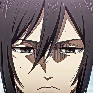 ❕ Mikasa Ackerman Attack on Titan 动漫, 漫画, 角色, 三笠, 进击的巨人, AOT, 严肃, 肖像 telegram sticker