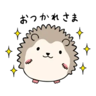 😎 erizo, lindo, animal, kawaii, pegatina telegram sticker