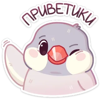 👋 Приветики vogel, hallo, zwaaien, schattig, dier telegram sticker