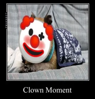 🤡 Clown Moment ตัวตลก, คาปิบารา, ตลก, มีม, สัตว์ telegram sticker