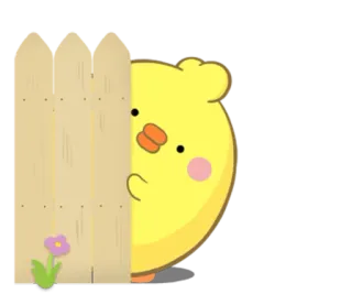 😐 小鸡, 鸟, 篱笆, 可爱, 卡通 telegram sticker
