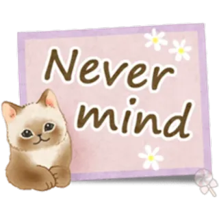 🐱 Never mind gato, pegatina, no importa, lindo, animal, flores, mensaje whatsapp sticker