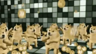 🏵 Doge doge, meme, cachorro, dança, engraçado telegram sticker