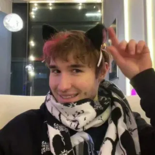 🪳 人物, 男人, 猫耳, 围巾, 室内, 肖像 telegram sticker