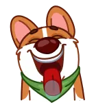👅 dog, corgi, animal, pet, cute, sticker telegram sticker