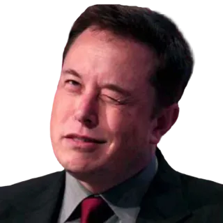 😉 Elon Musk elon musk, empresário, piscadela, tesla, spacex telegram sticker