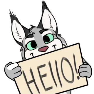 😃 HELLO! gato, olá, saudação, amigável, animal, desenho animado, adesivo telegram sticker