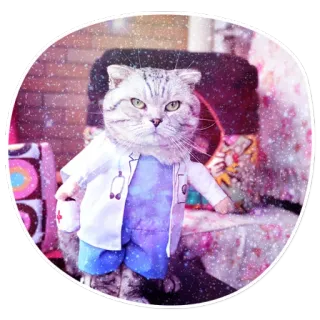 😸 Котики в костюмах @lennysticker whatsapp stickers