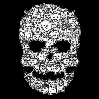 💀 caveira, gatos, esqueleto, animal, fofo, engraçado telegram sticker