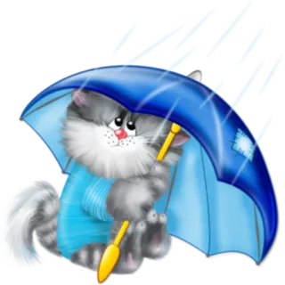 ☔️ kat, paraplu, regen, schattig, dier, cartoon whatsapp sticker