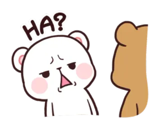 😳 HA? fofo, urso, pergunta, confuso telegram sticker