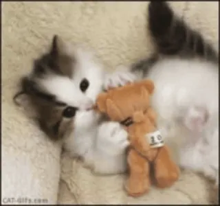 🥲 котёнок, кот, питомец, животное, плюшевый мишка, милый whatsapp sticker