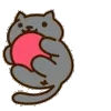 🐈⬛