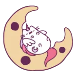 🌙