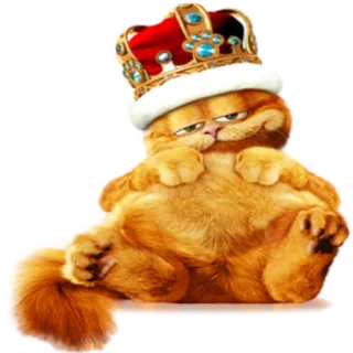 Гарфилд @StikerDi whatsapp stickers