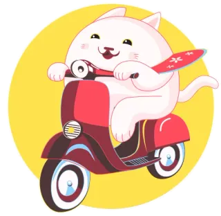 🚀 кот, скутер, милый, животное, транспорт whatsapp sticker