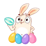 🐰