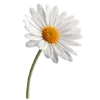 утопленник @Joonbl telegram emojis 🪱