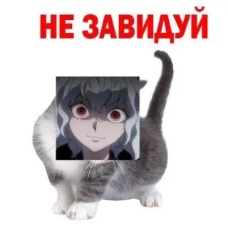 🧊 Neferpitou Hunter x Hunter НЕ ЗАВИДУЙ cat, anime, envy, meme telegram sticker