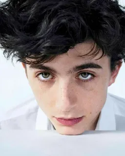 🦇 Timothée Chalamet actor, retrato, famoso, hombre telegram sticker